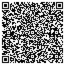 QR code with Pro Insight Jv contacts