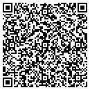 QR code with Primary Creation Inc contacts
