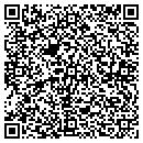 QR code with Professional Lending contacts