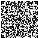 QR code with Chesapeake Group Inc contacts