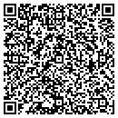 QR code with Chapin Associates Ltd contacts