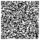 QR code with Public Consulting Group contacts