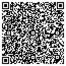 QR code with Professional Dynamics contacts