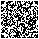 QR code with Pulse Networks contacts