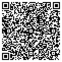 QR code with Vascor contacts