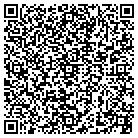 QR code with Public Consulting Group contacts