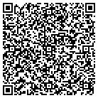 QR code with Public Consulting Group contacts