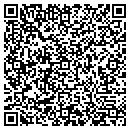 QR code with Blue Delphi Inc contacts