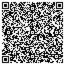 QR code with Pr Nelson & Assoc contacts