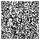 QR code with Protocol Inc contacts
