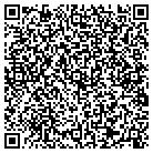 QR code with Blotter And Associates contacts