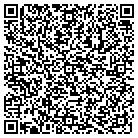QR code with Public Image Consultants contacts