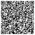 QR code with Public Consulting Group contacts
