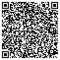 QR code with Bongo contacts