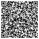 QR code with Psymetrics Inc contacts