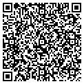 QR code with Geo Resources Inc contacts