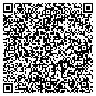 QR code with Public Strategies Group Inc contacts
