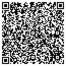 QR code with Cygnus Resources Inc contacts