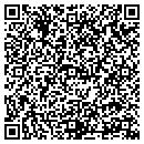QR code with Project Dimensions Inc contacts