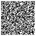 QR code with Archie contacts