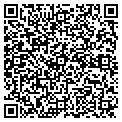 QR code with Netcor contacts
