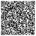QR code with Blue Pay Processing Inc contacts