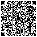 QR code with Clect Consulting Inc contacts