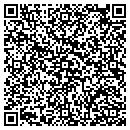QR code with Premier Credit Corp contacts