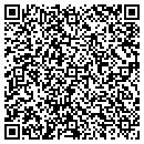 QR code with Public Finance Group contacts
