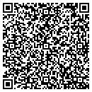QR code with Curt P Arcement Cfp contacts