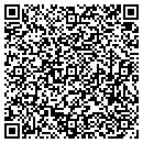 QR code with Cfm Consulting Inc contacts