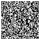 QR code with Premier Consorcios contacts