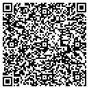 QR code with Ppa Financial contacts