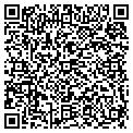 QR code with AIG contacts