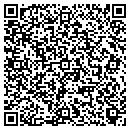 QR code with Purewealth Institute contacts