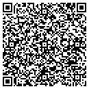 QR code with Professional Effects contacts