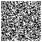 QR code with Professional Litigations contacts
