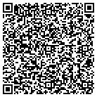 QR code with Playful Strategic Inc contacts