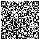 QR code with Puma Systems contacts