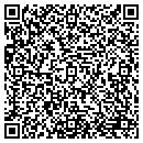 QR code with Psych Works Inc contacts
