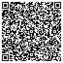 QR code with Project Impact Ccm Inc contacts