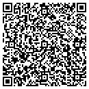 QR code with Preferred Dental LLC contacts