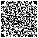 QR code with Blr Hospitality LLC contacts