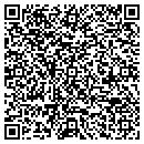 QR code with Chaos Consulting Inc contacts