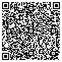 QR code with Sedaa contacts