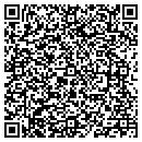 QR code with Fitzgerald Msi contacts