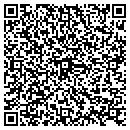QR code with Carpe Diem Strategies contacts