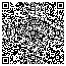 QR code with Career Options Inc contacts