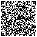 QR code with Netmax contacts