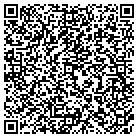 QR code with Pulse Marketing And Interactive Strategies contacts